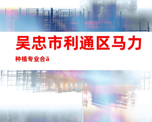 吴忠市利通区马力种植专业合作社